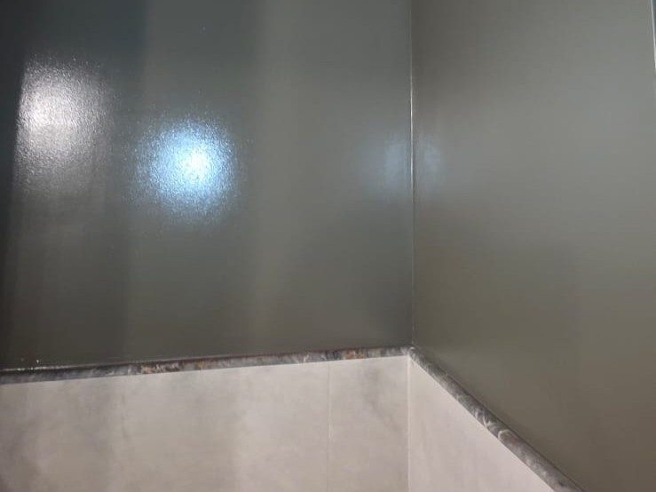 Pintura toilet Buenos Aires 5